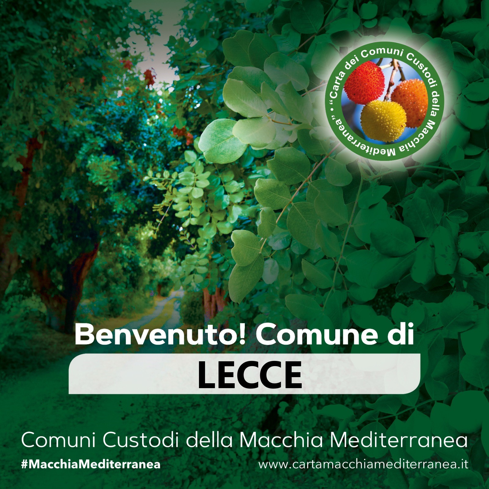 Lecce Macchia Mediterranea