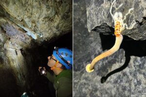 Miniera del Macariace