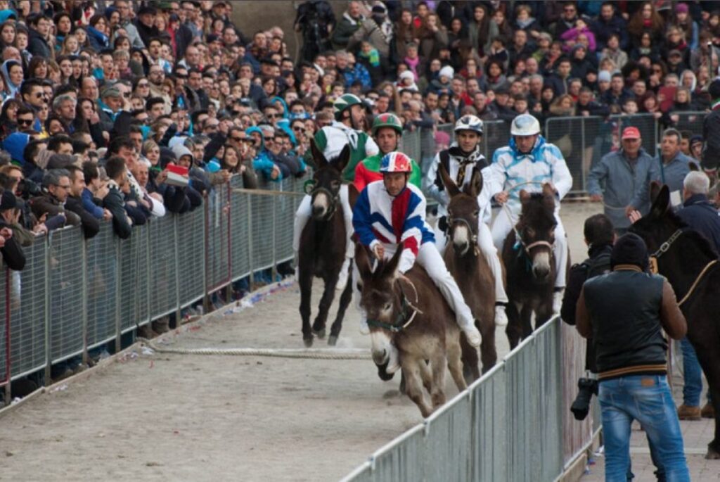 Palio Somari Torrita Siena