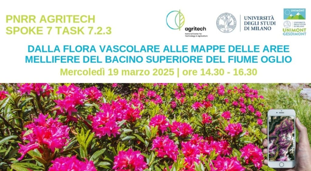 Seminario UNIMONT