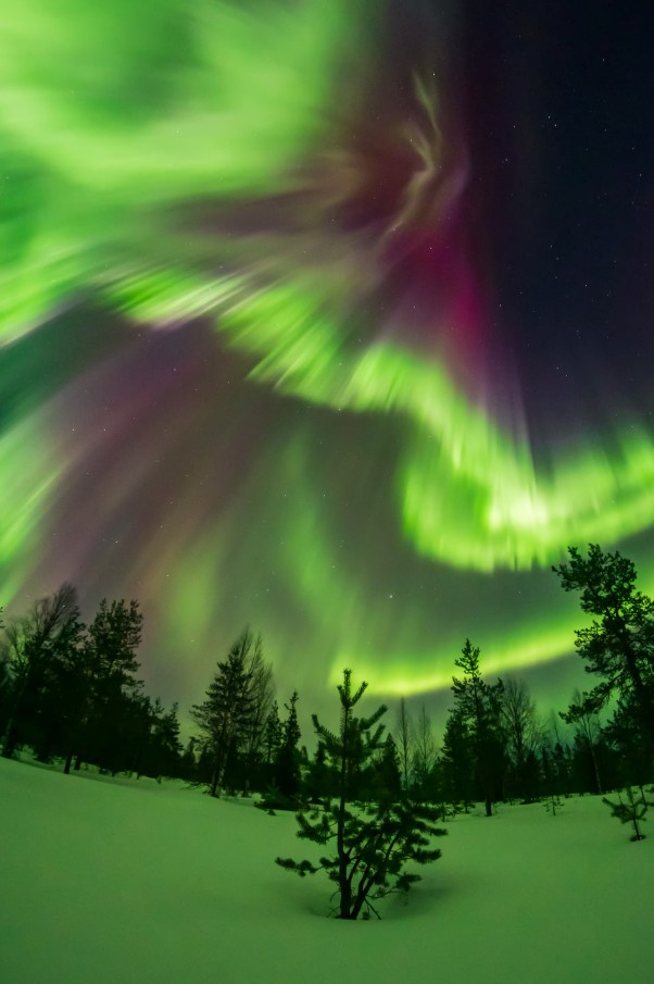 aurora boreale