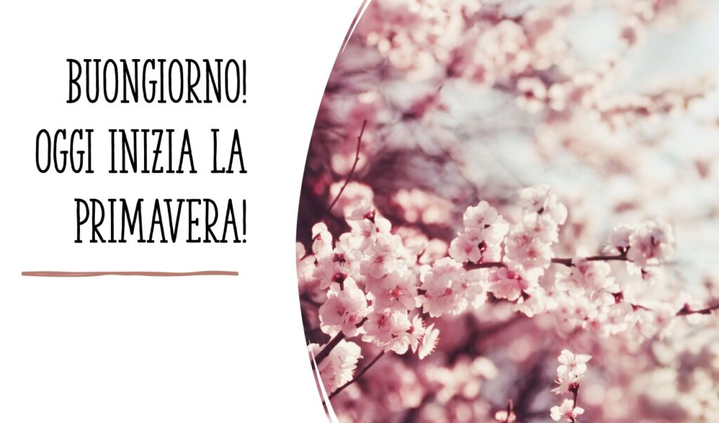 buongiorno buona primavera 2025 immagini nuove frasi originali