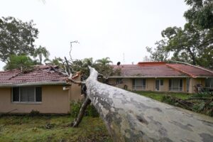 ciclone alfred australia