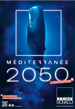 futuro mare mediterraneo