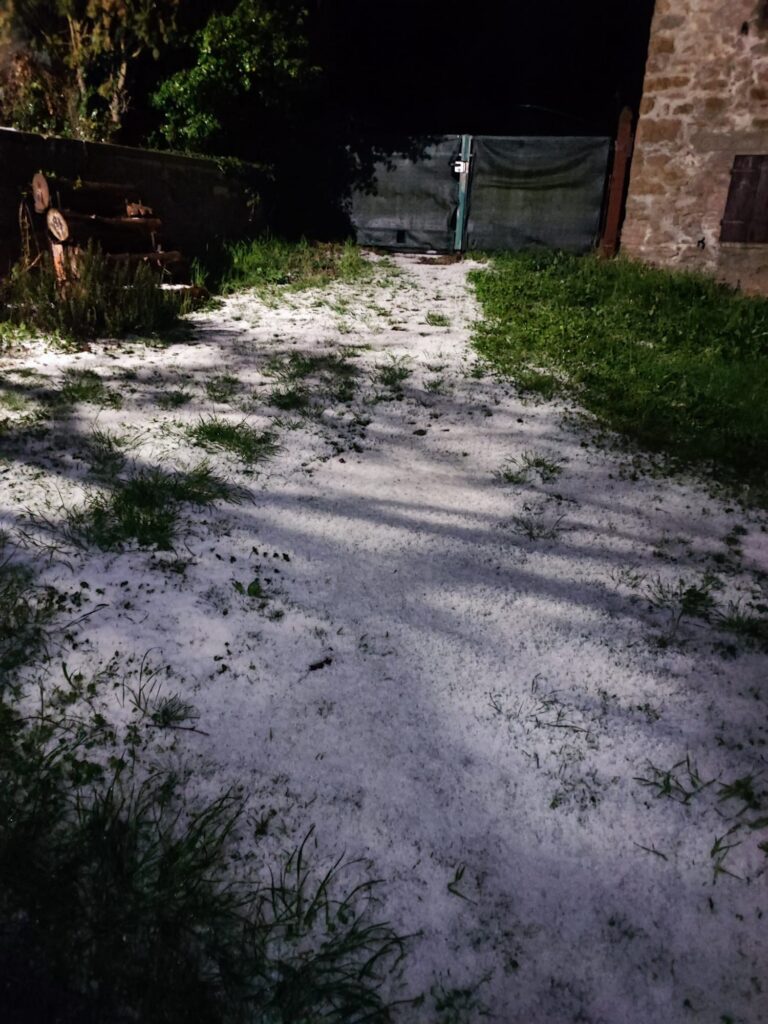 grandine guglia modena