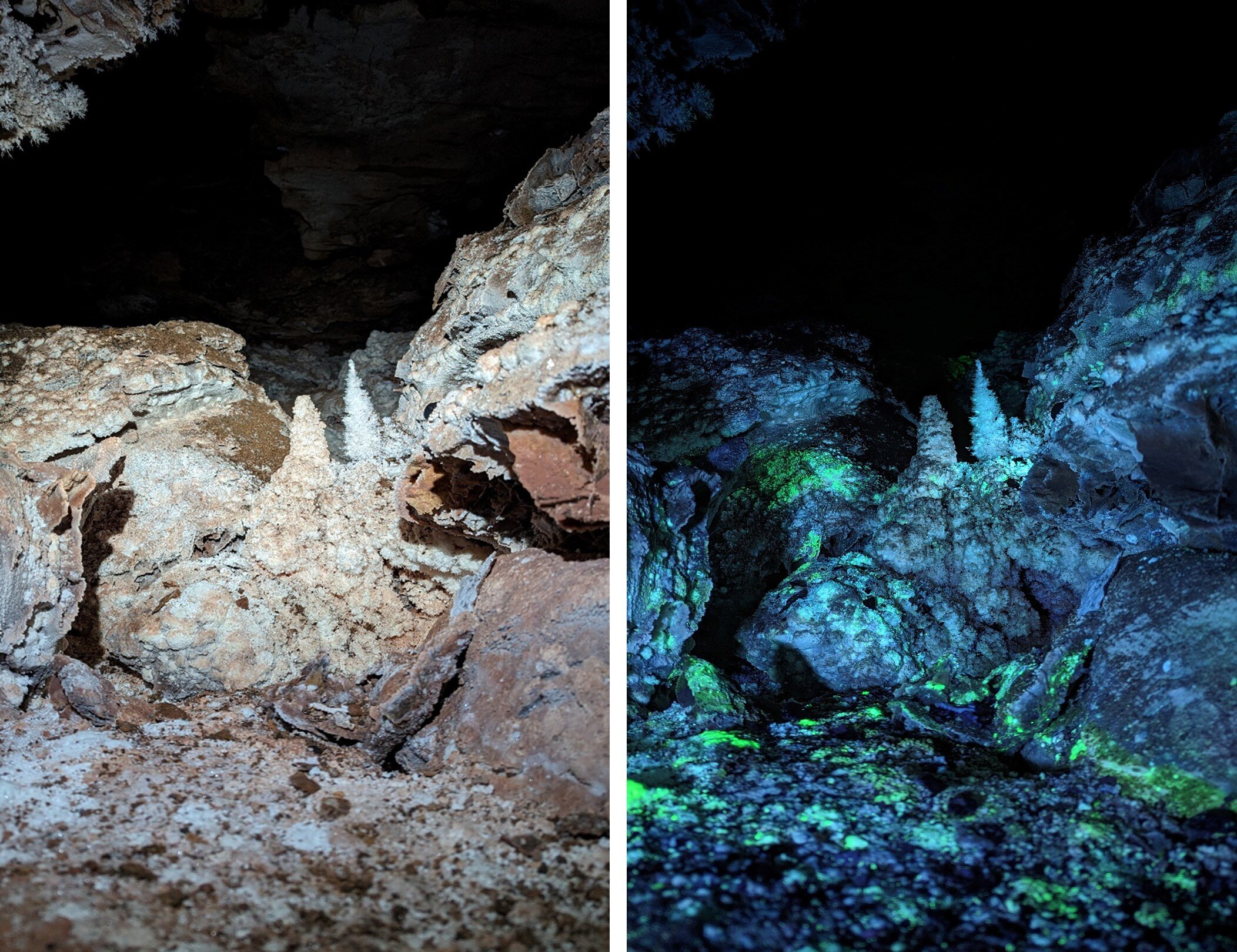 Indizi sulla vita extraterrestre nascosti nelle grotte fluorescenti: lo studio