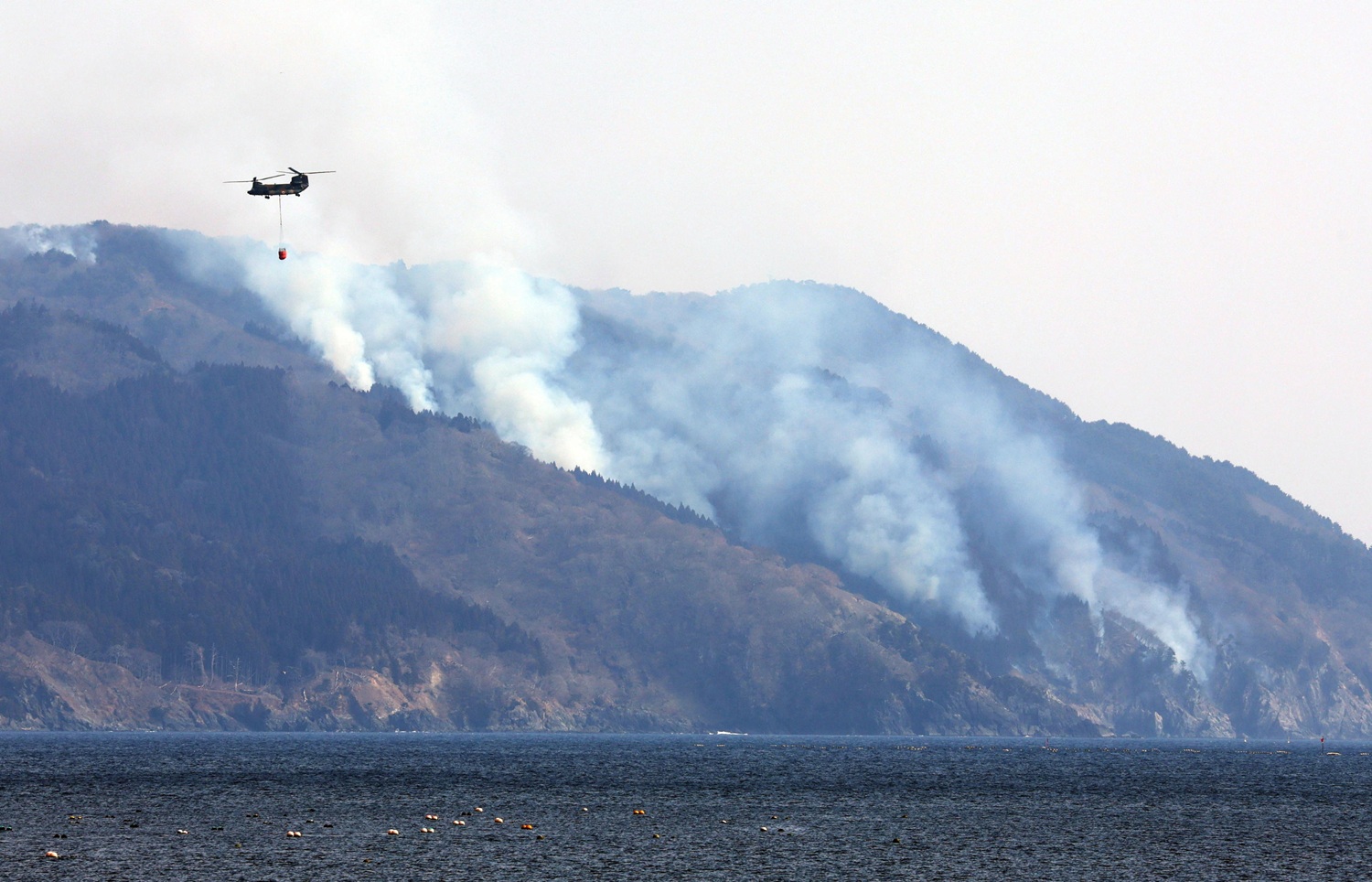 Giappone, continuano gli incendi: 1.400 ettari in fumo, migliaia di evacuati