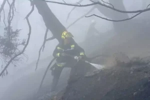 incendio boschivo generico