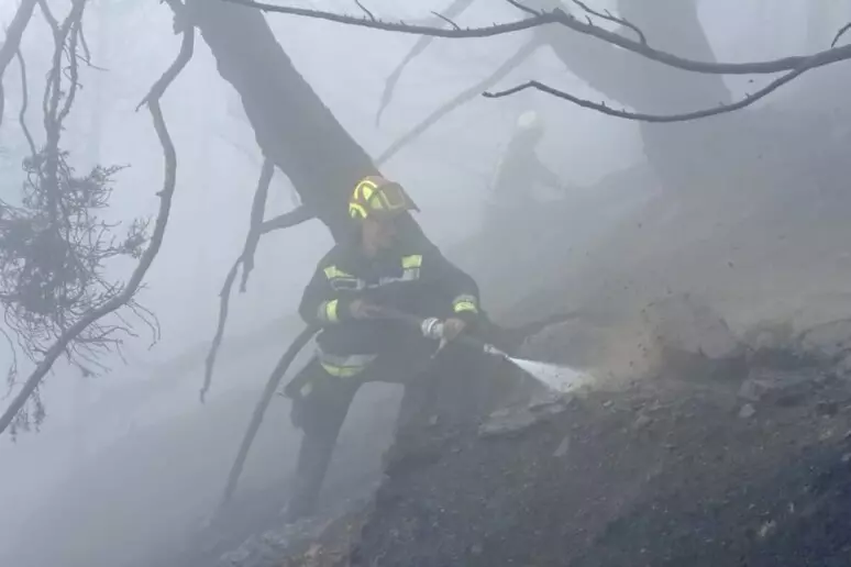 incendio boschivo generico