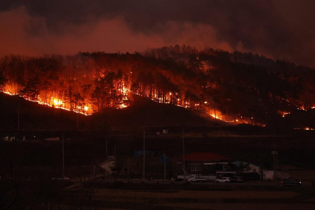 incendio corea sud