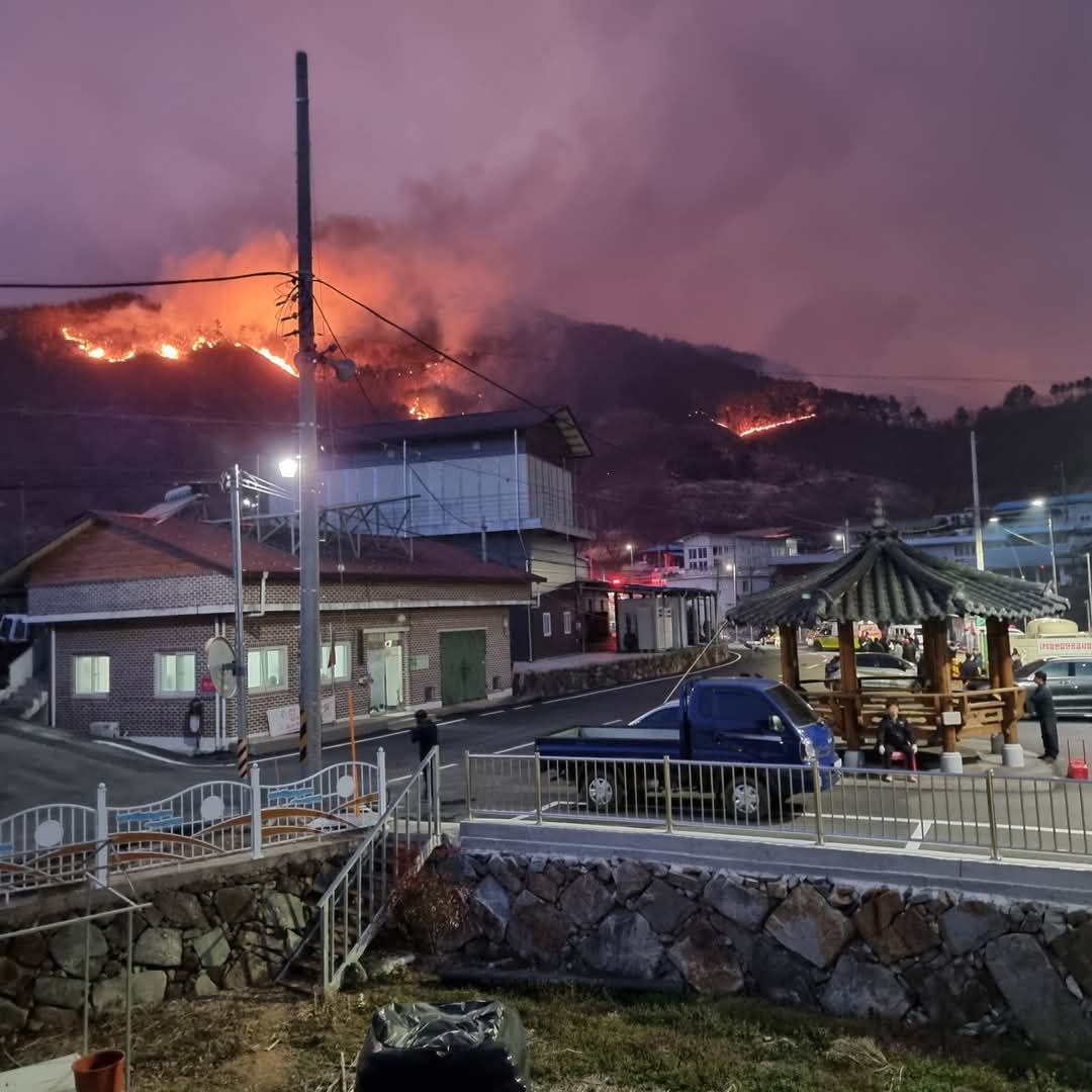 Incendi senza precedenti in Corea del Sud: il meteo aiuta a combattere le fiamme