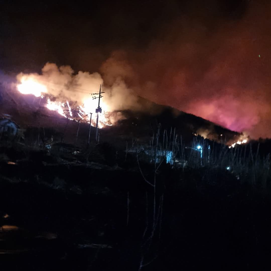 Vasti incendi in Corea del Sud: in fiamme quasi 15mila ettari, 4 morti