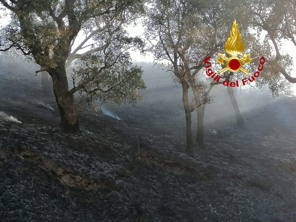 incendio falerna calabria