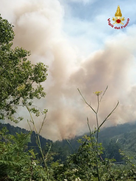 incendio falerna calabria