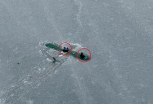 incidente aereo alaska
