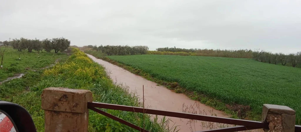 maltempo San Nicandro Garganico puglia