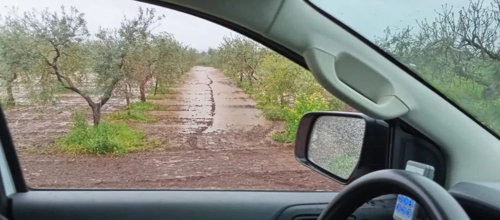 maltempo San Nicandro Garganico puglia