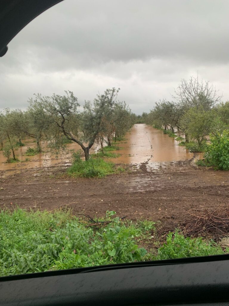 maltempo San Nicandro Garganico puglia