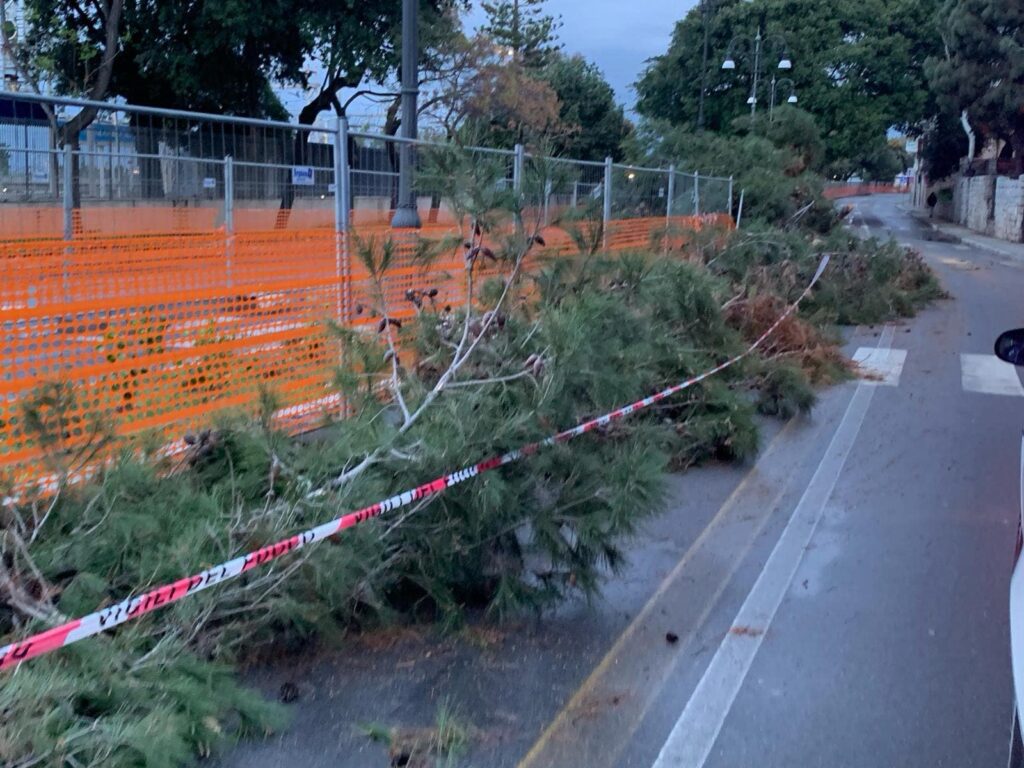 maltempo albero crollato reggio calabria