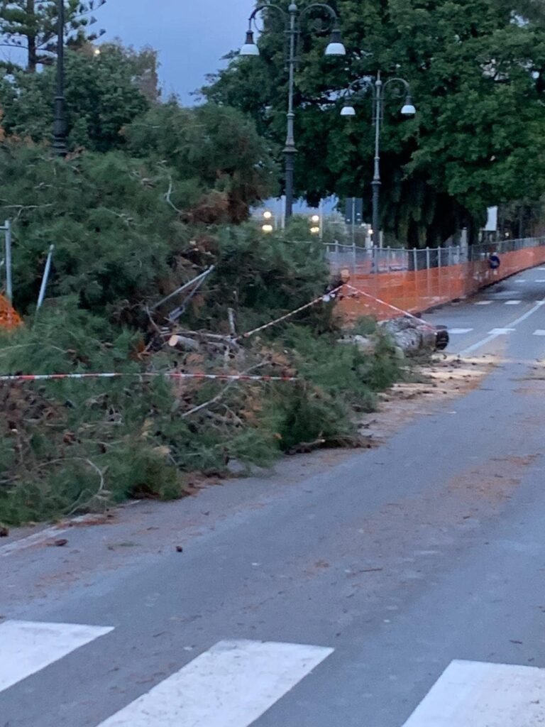 maltempo albero crollato reggio calabria