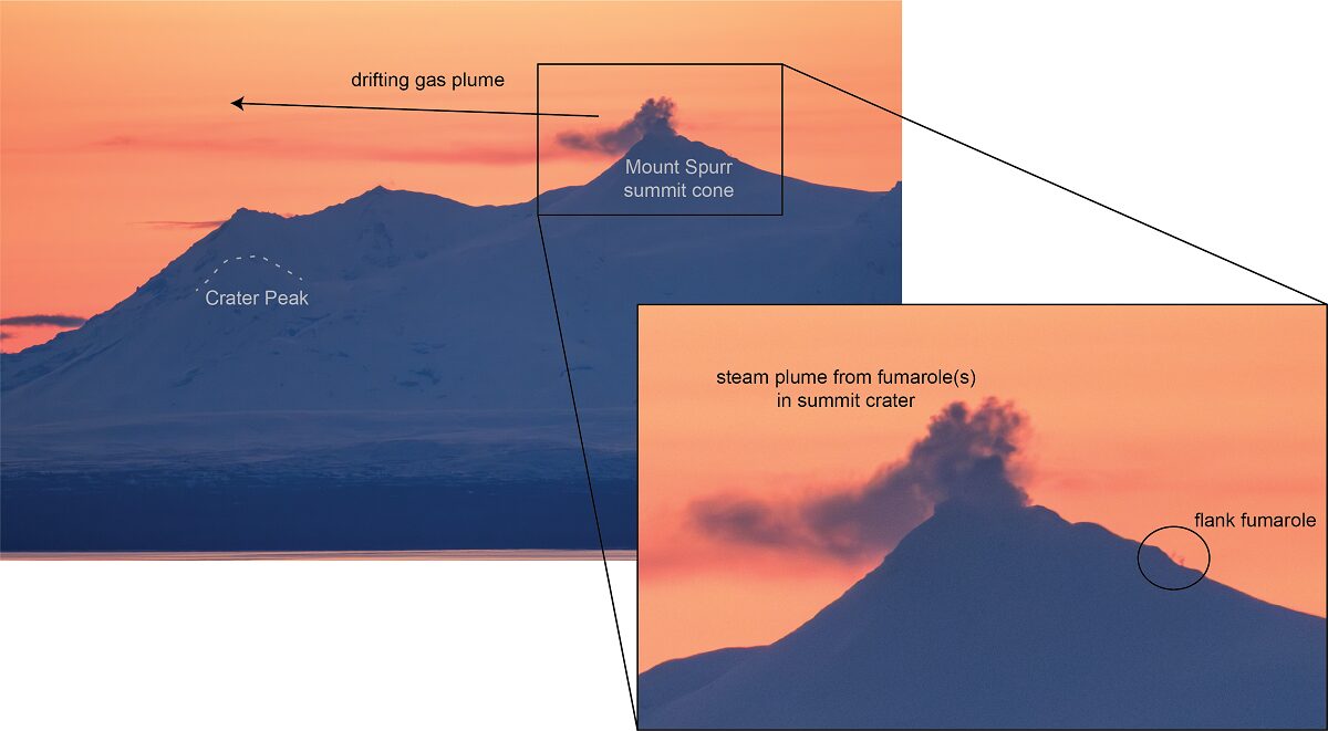 monte spurr