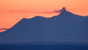 monte spurr