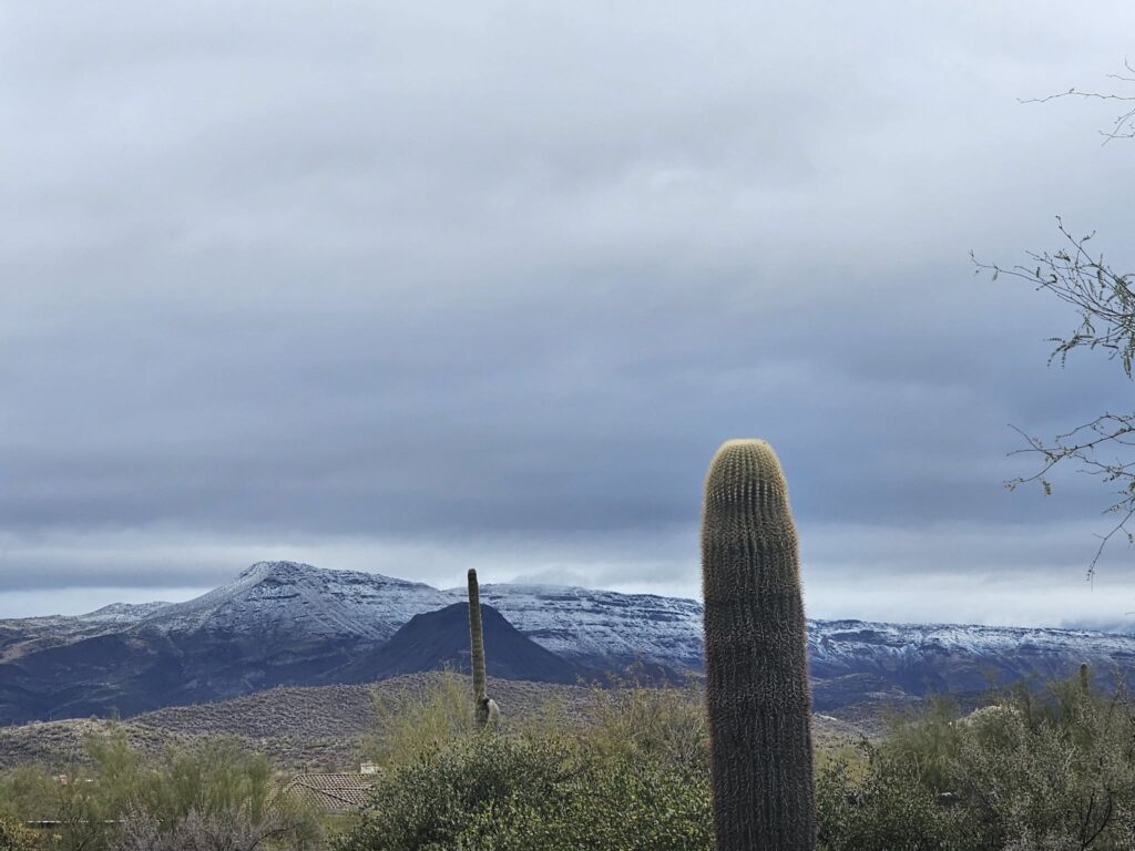 neve arizona flagstaff