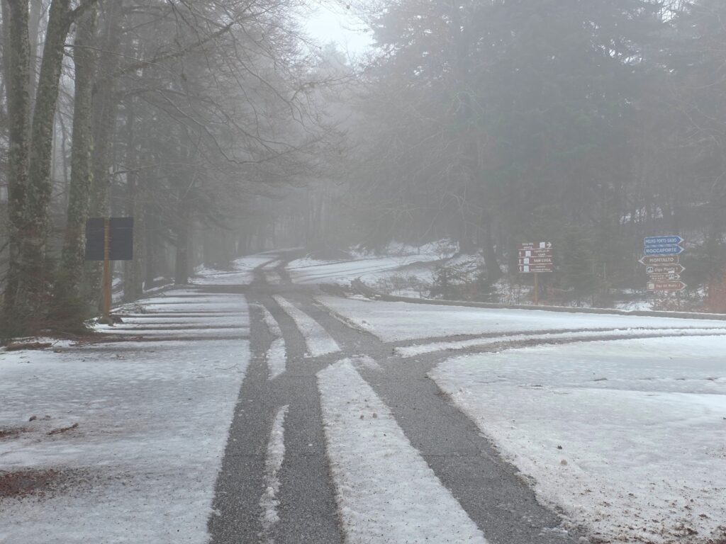 neve aspromonte 29 marzo 2025