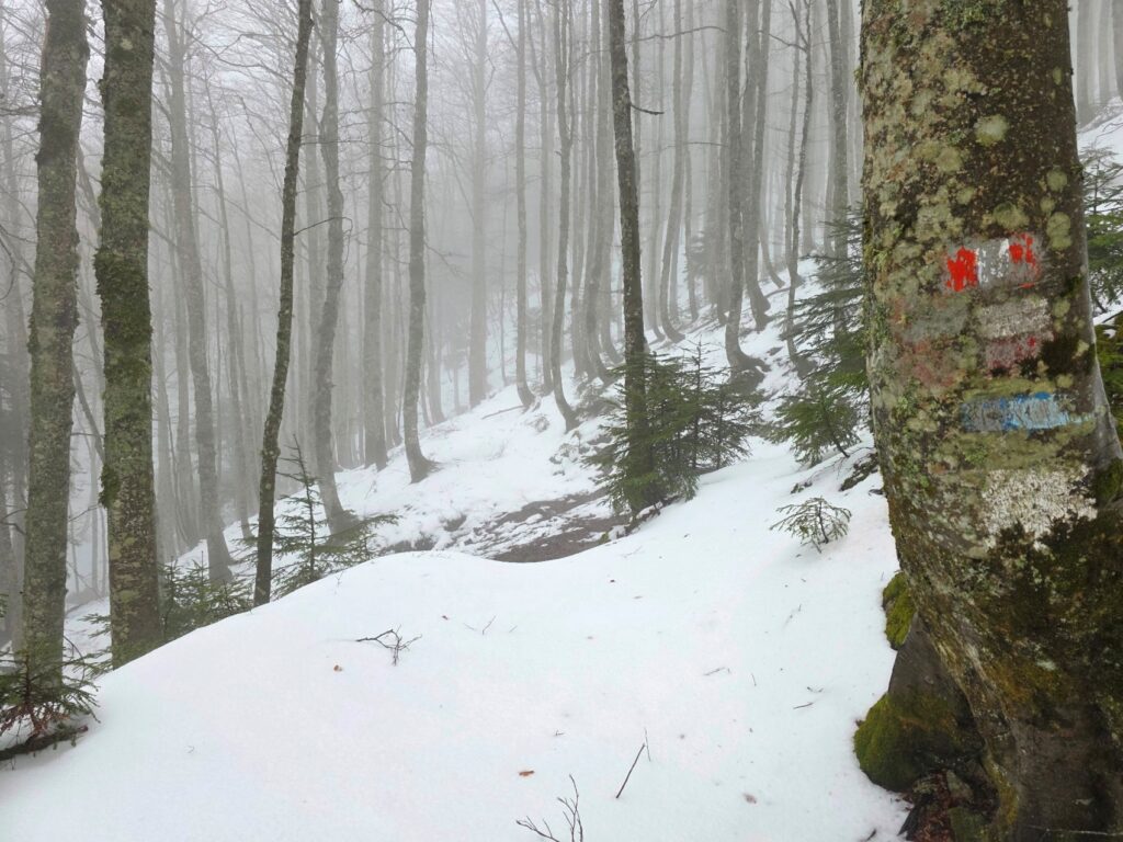 neve aspromonte 29 marzo 2025