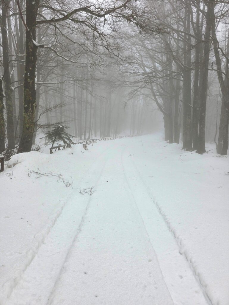 neve aspromonte 29 marzo 2025