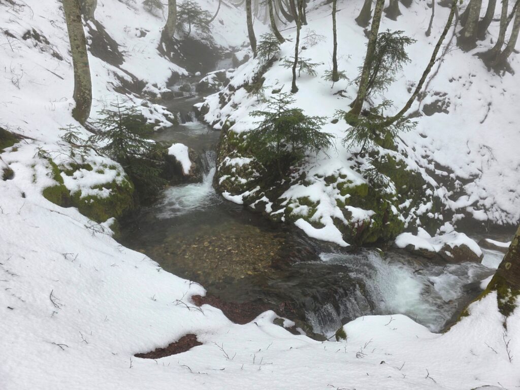 neve aspromonte 29 marzo 2025