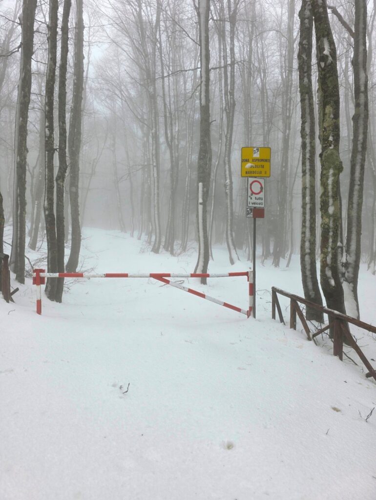 neve aspromonte 29 marzo 2025