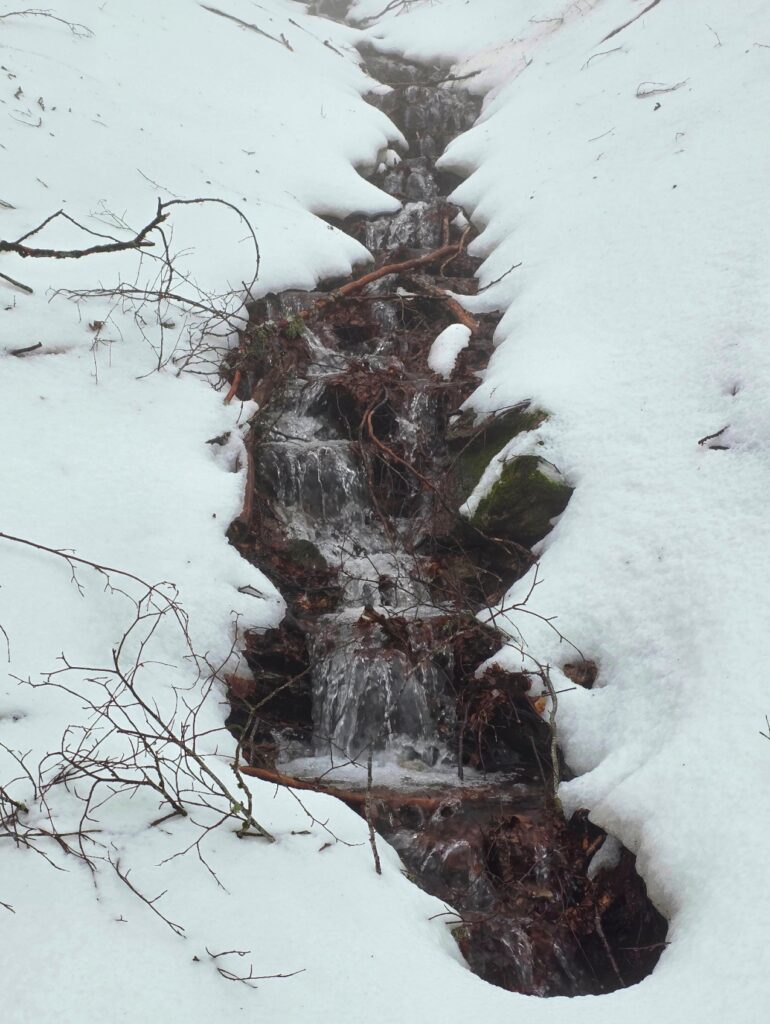 neve aspromonte 29 marzo 2025