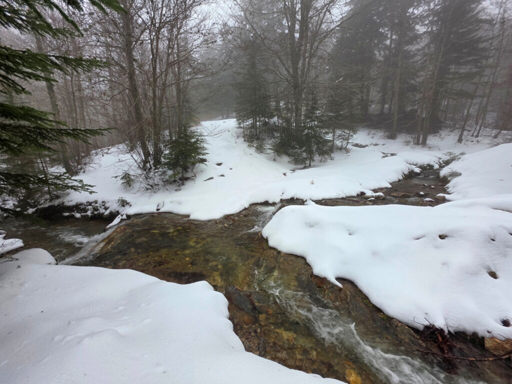 neve aspromonte 29 marzo 2025