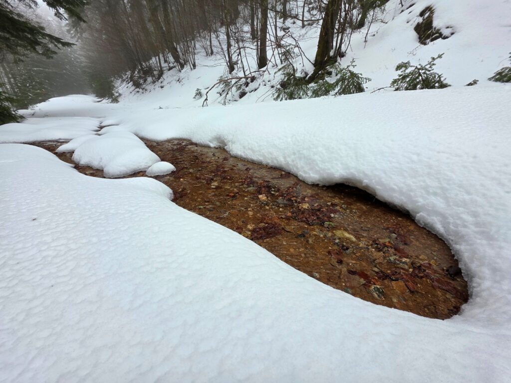 neve aspromonte 29 marzo 2025