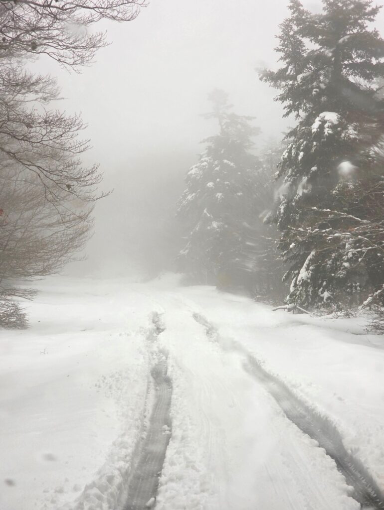 neve aspromonte 29 marzo 2025