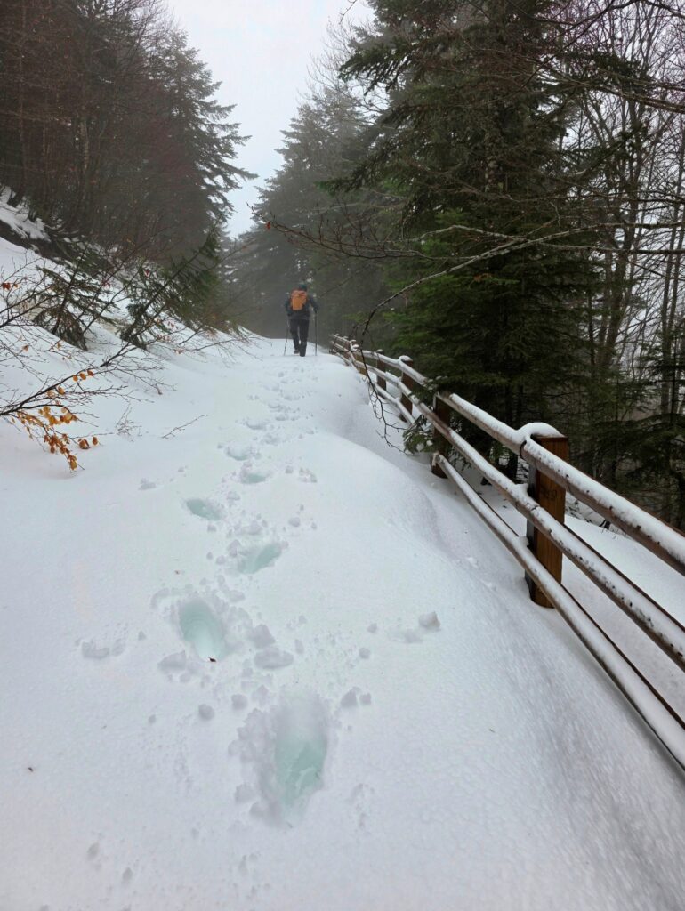 neve aspromonte 29 marzo 2025