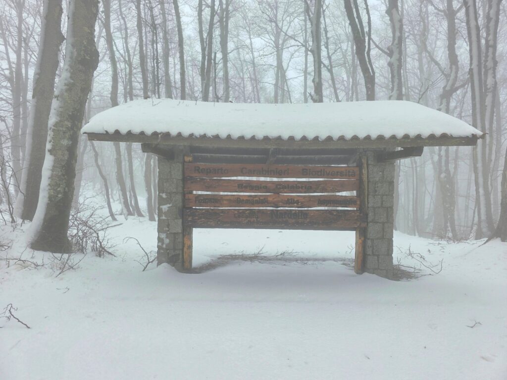 neve aspromonte 29 marzo 2025