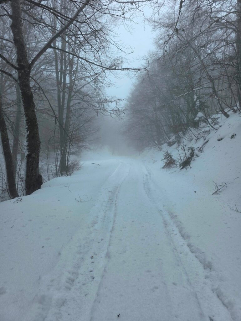 neve aspromonte 29 marzo 2025