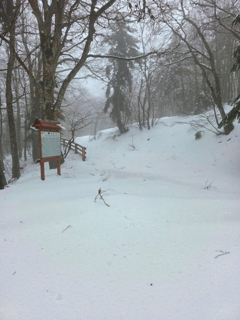 neve aspromonte 29 marzo 2025