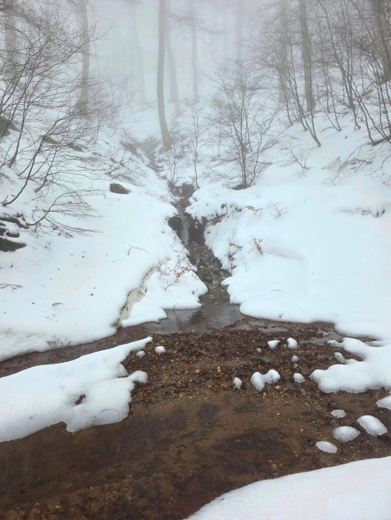 neve aspromonte 29 marzo 2025