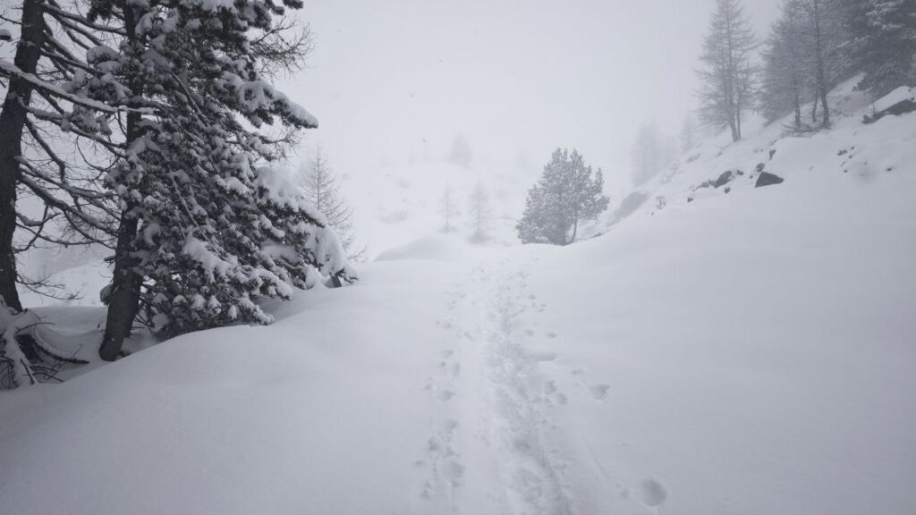 neve champorcher valle d'aosta