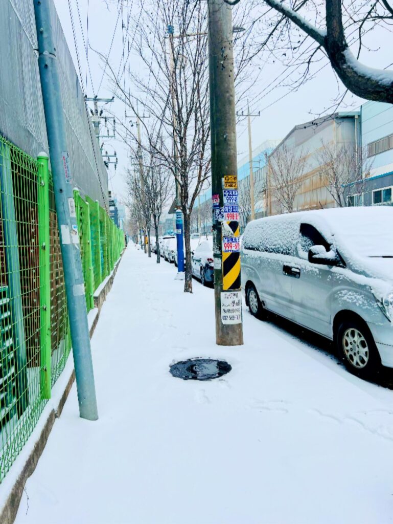 neve corea sud