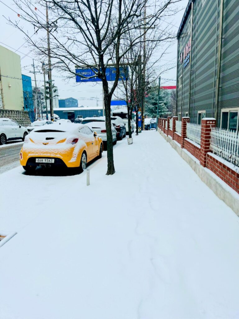 neve corea sud