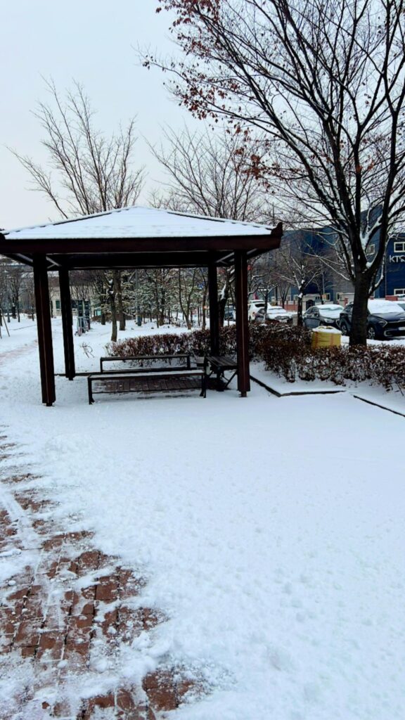 neve corea sud