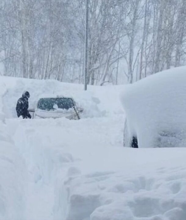 neve kamchatka russia