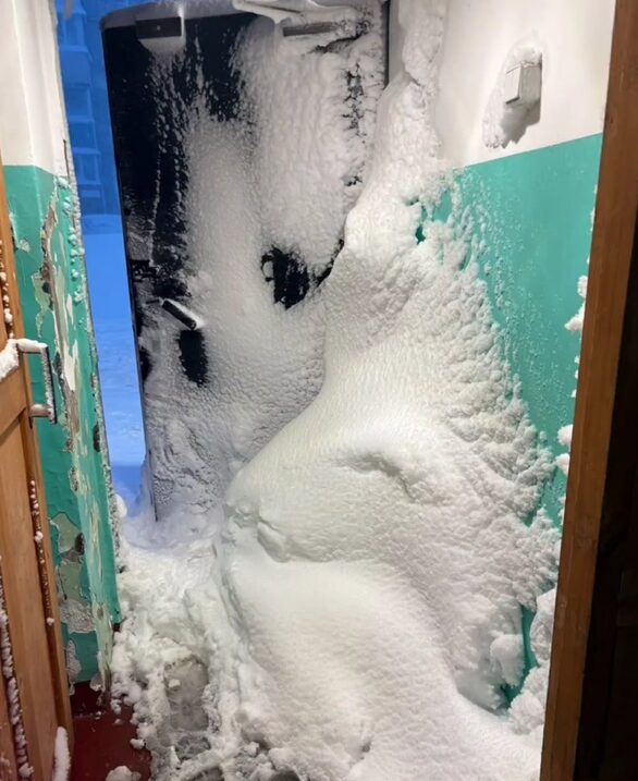 neve kamchatka russia