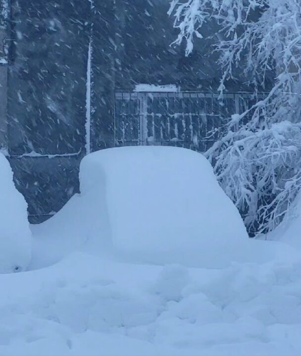 neve kamchatka russia
