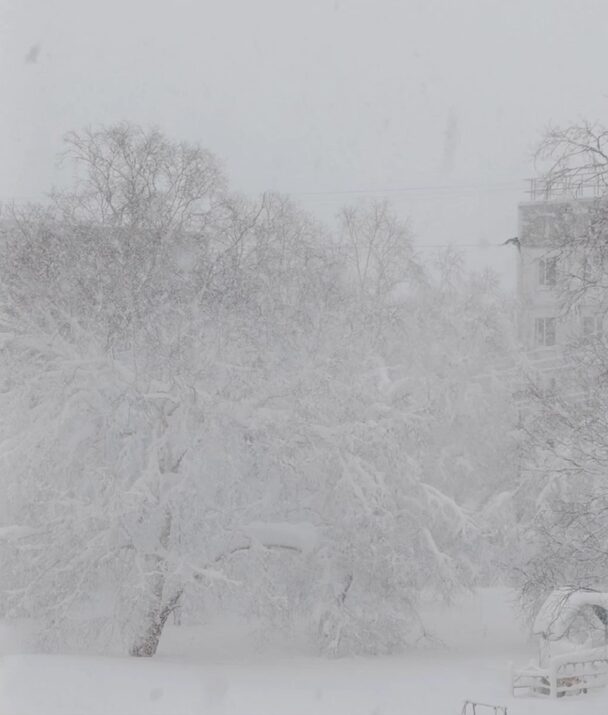 neve kamchatka russia