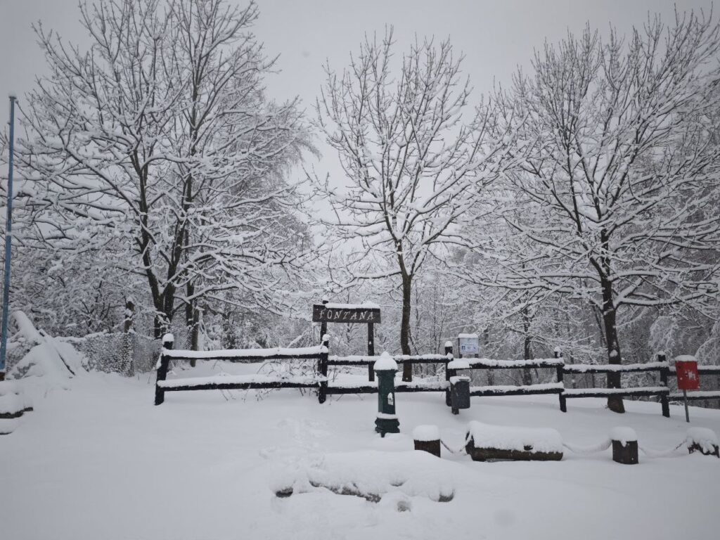 neve piemonte